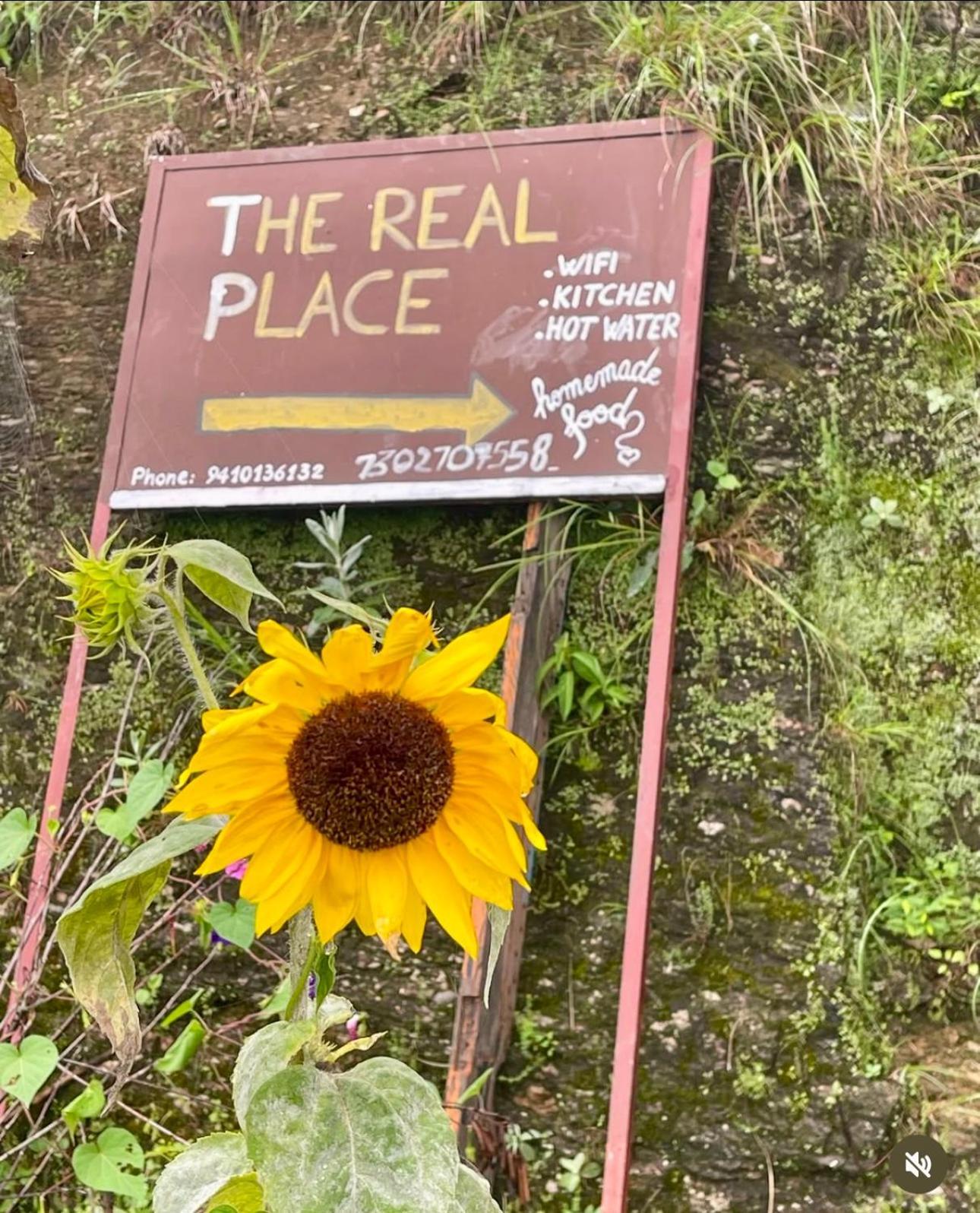The Real Place Almora Dış mekan fotoğraf
